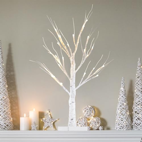 YEAHOME 2FT/24” Birch Tree Light with 24LT Warm White LEDs Battery Powered Timer for Christmas Decorations Indoor, Money Trees for Winter Wedding Desk Table Top Mantel Home Easter Decor