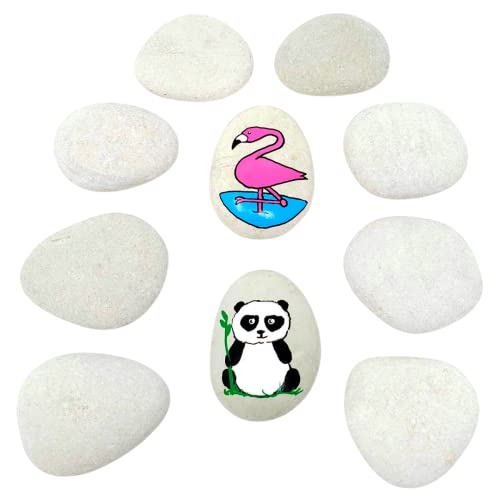 Capcouriers Rocks for Painting, Painting Rocks, Perfect for Rock Painting, 10 Smooth Rocks for Painting