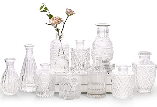 Glass Bud Vase Set of 10 - Small Vases for Flowers, Clear Bud Vases in Bulk, Cute Glass Vases for Centerpieces, Mini Vintage Vase for Rustic Wedding Decorations, Home Table Flower Decor