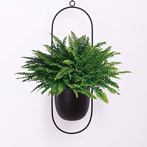Sinolodo Metal Hanging Planters Boho Plant Hanger for Indoor Wall and Ceiling Hanging planters,Metal Black(Oval)