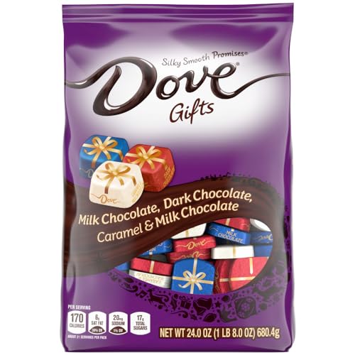 DOVE PROMISES Christmas Stocking Stuffer Milk, Dark & Caramel Chocolate Candy, 24 oz Bag