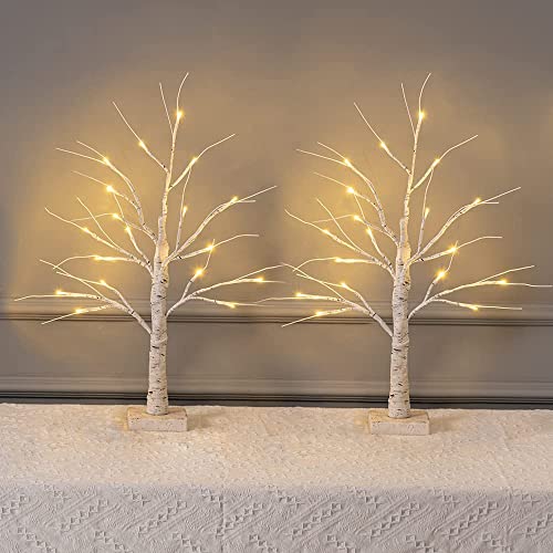MEETYAMOR 2 Pack 24” 2FT Lighted Birch Tree with 18LT Warm White LEDs, Christmas Decorations Indoor Battery Powered Timer, Artificial Branch Trees for Money Tree Party Wedding Table Mantel Home Decor