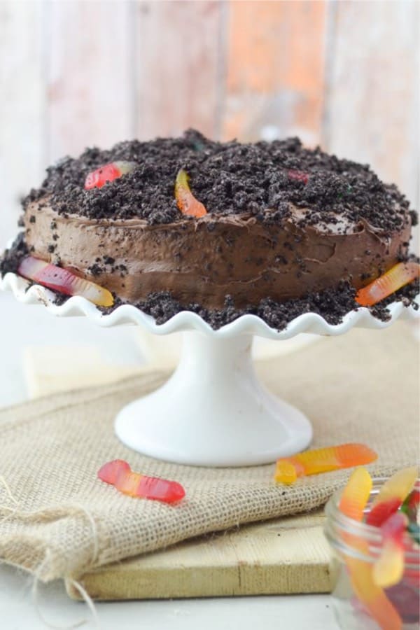 Gluten Free Dirt and Worms Boys Birthday Cake Recipe 