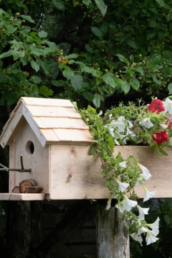 planter in wooden birdhouse