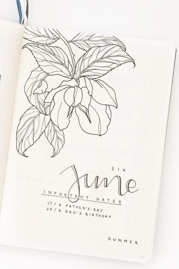 cute floral cover spreads