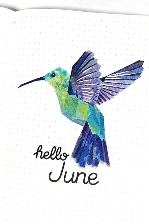 hummingbird in bullet journal