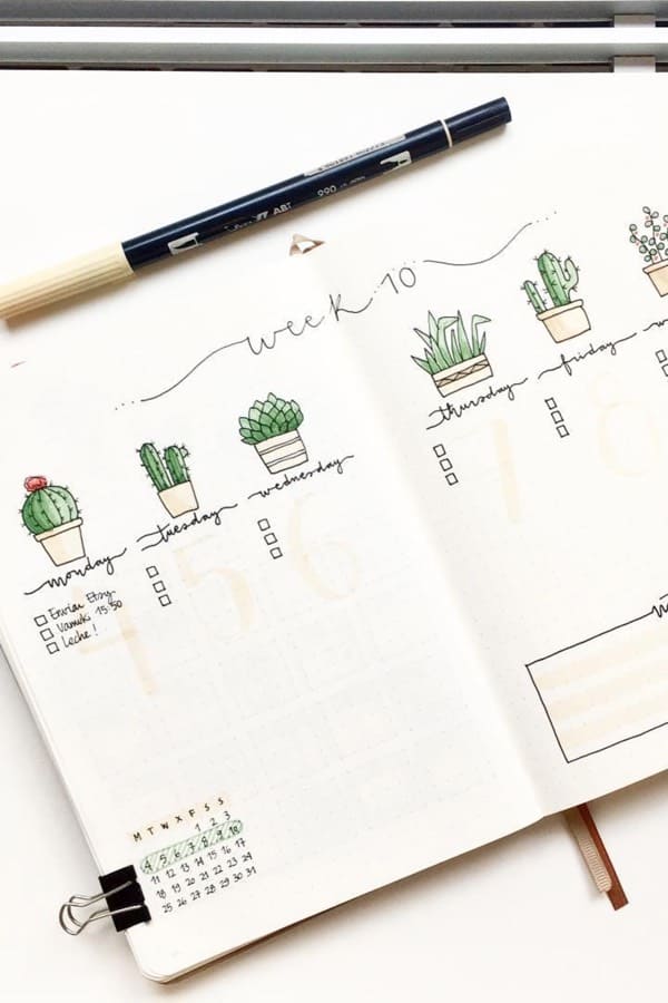 weekly spread ideas with cactus