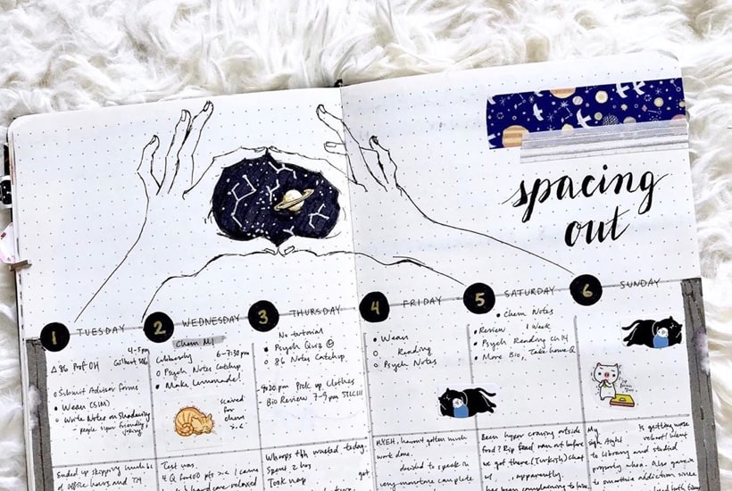 Best Bullet Journal Weekly Spread Ideas For May 2022