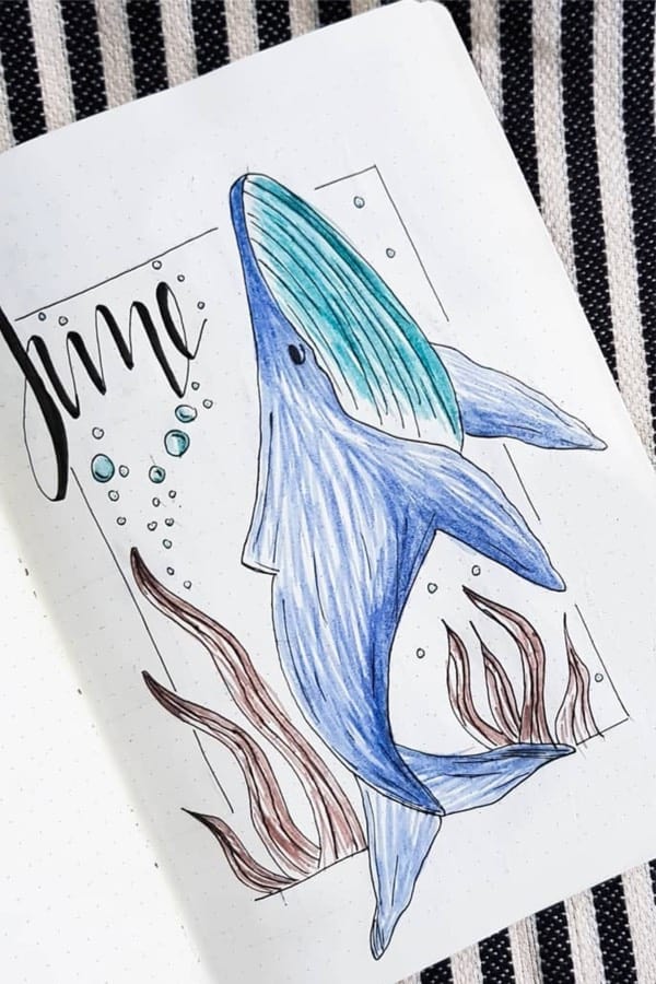 june monthly cover with whale