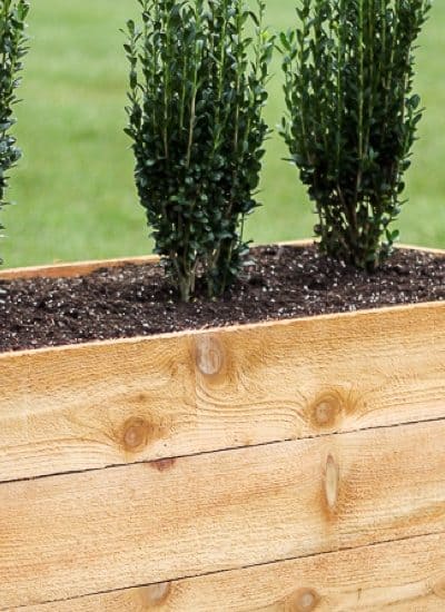 best diy wood plant boxes