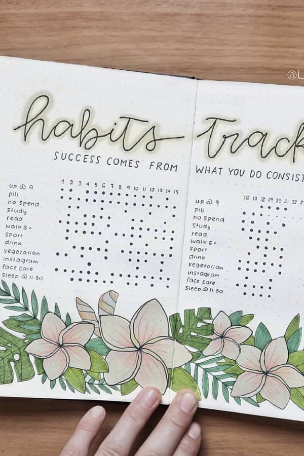 bujo habit tracking spread