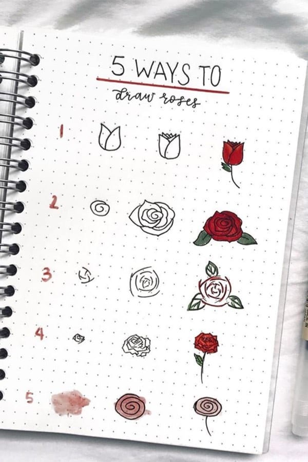 guide to draw bullet journal roses