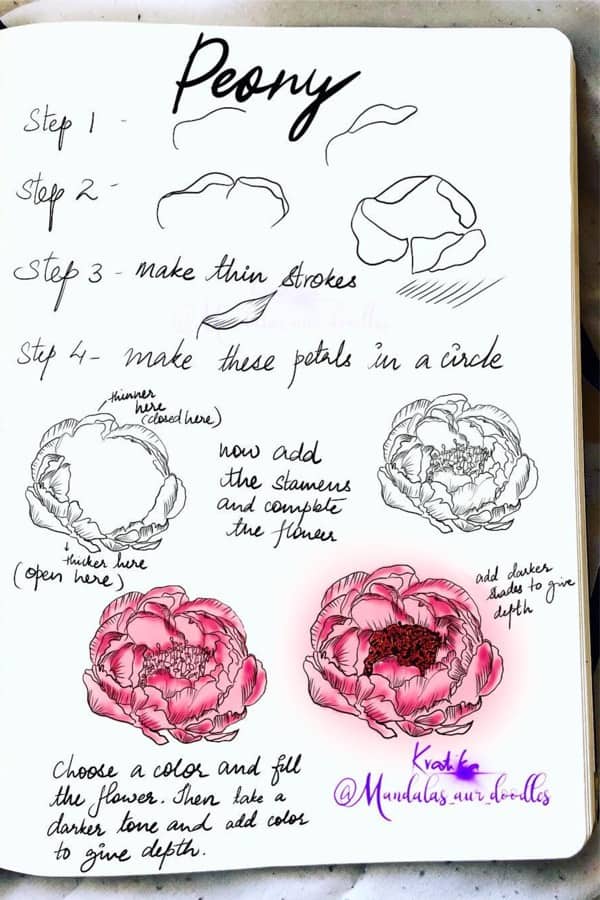 step by step tutorial for peony