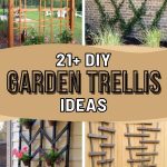 List of 21 DIY Trellis Creations to Try Now For Your Garden