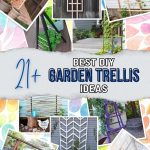 List of 21 Exceptional DIY Trellis Designs