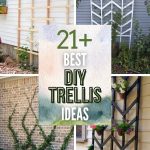 Masterful DIY Trellis Ideas - Unleash Your Inner Gardener