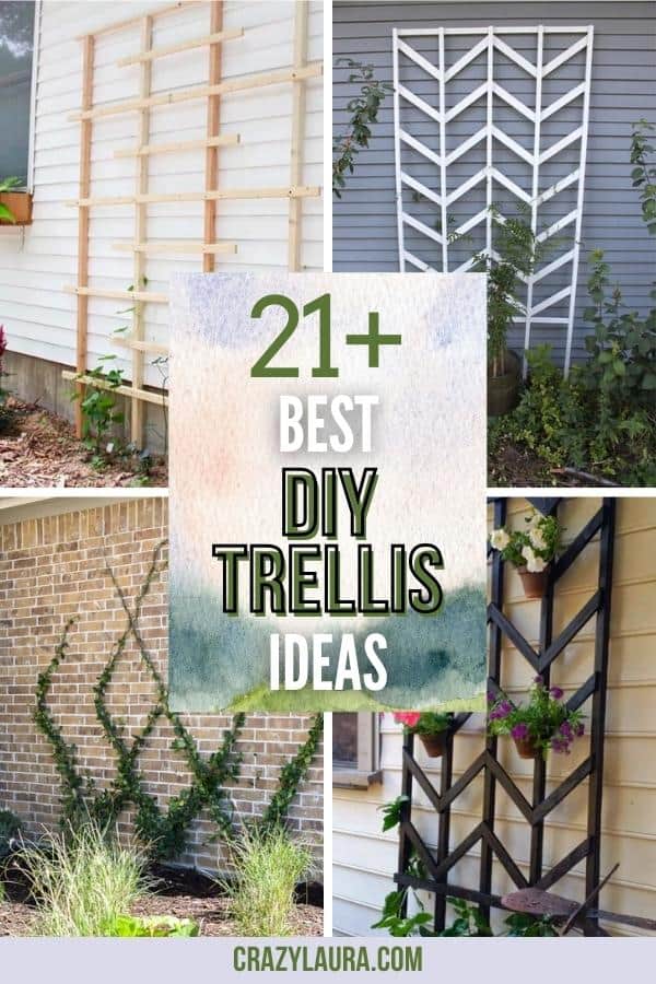 Masterful DIY Trellis Ideas - Unleash Your Inner Gardener