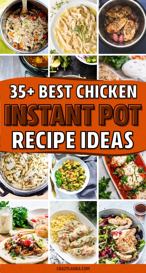 fast pressure cooker chicken lunch and dinner examples
