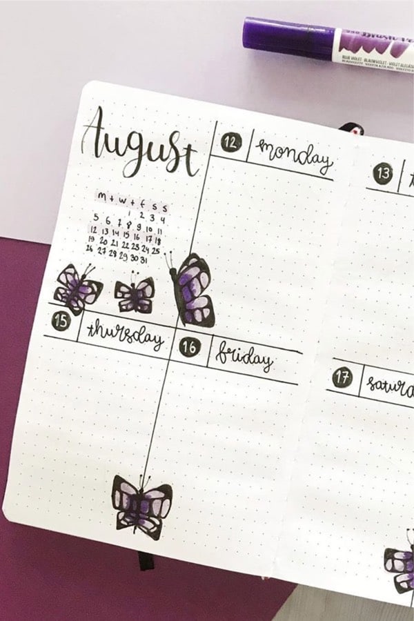 august spreads with purple