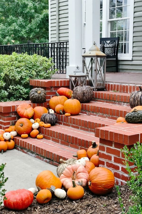 pumpkins for fall porch