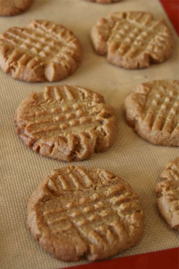 best keto peanut butter cookies
