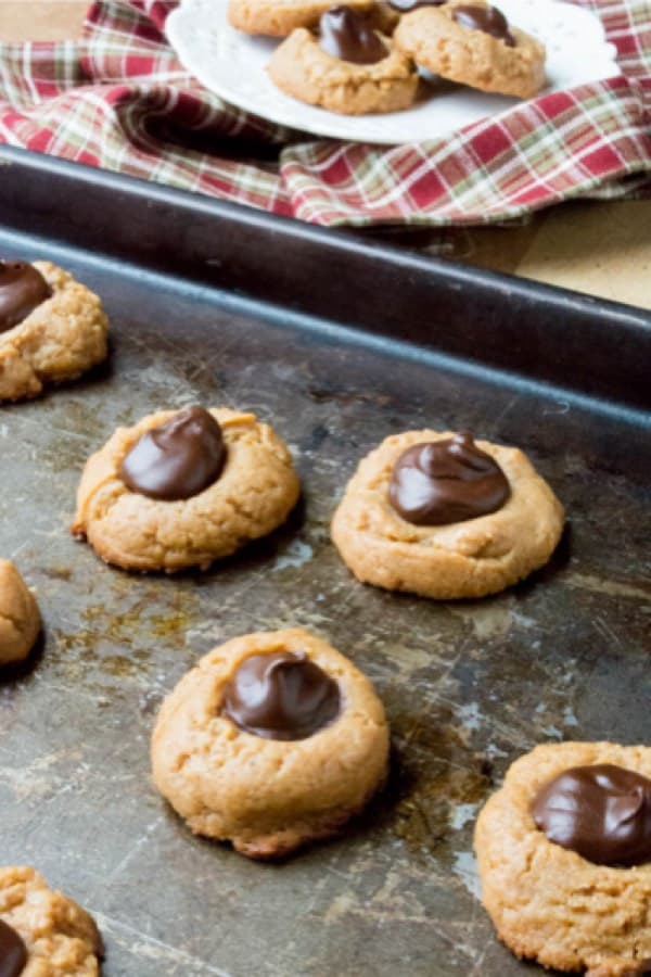 peanut butter cookies with low carbs