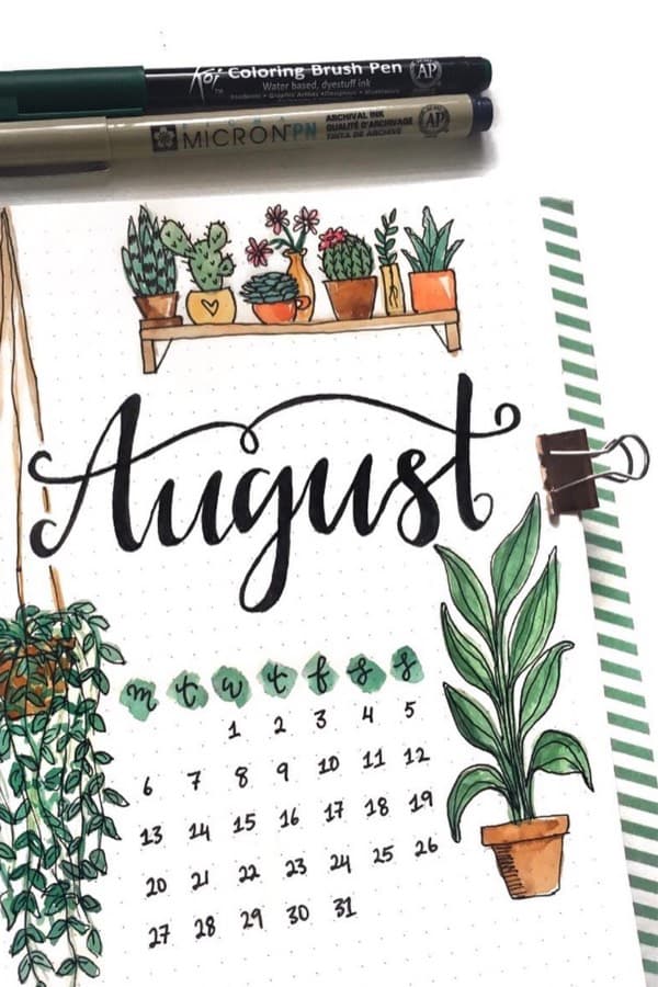 aug cover with plants