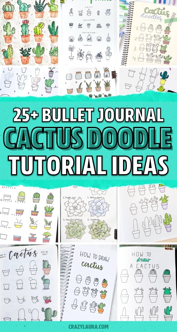 journal drawings with cactus theme