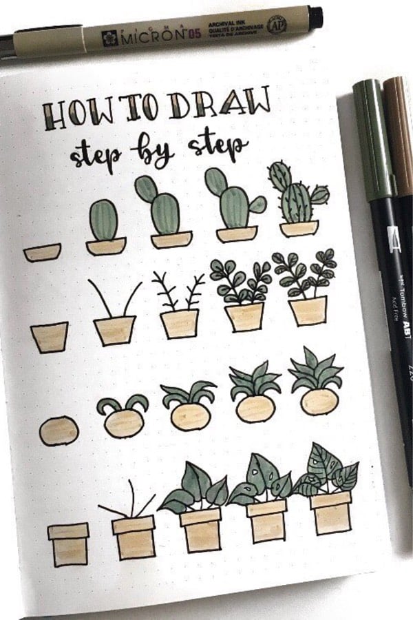 bujo step by step cactus doodle examples