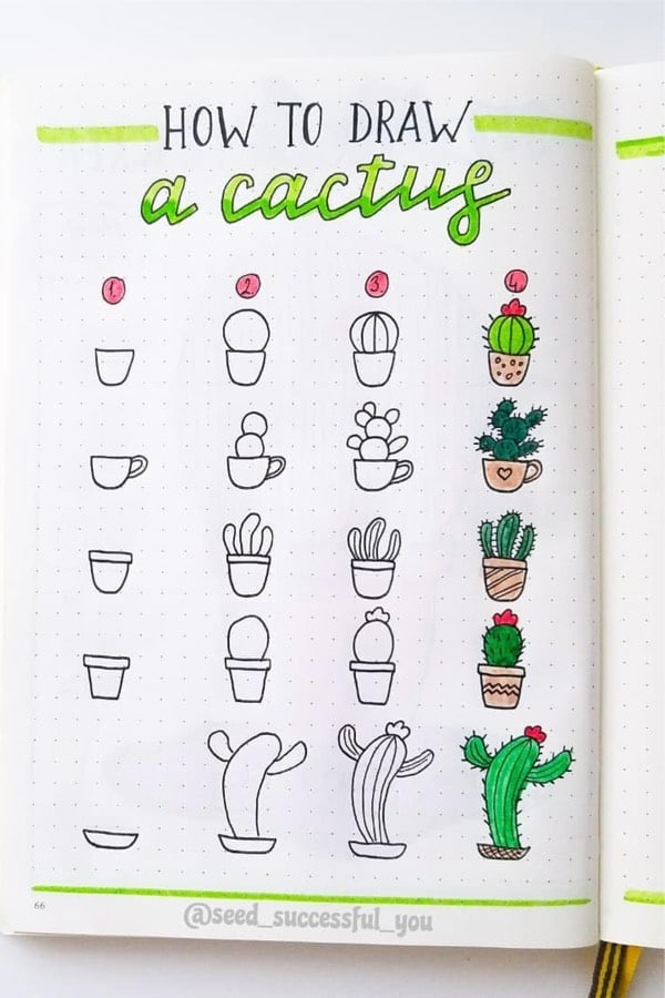 easy cactus doodles for bullet journal
