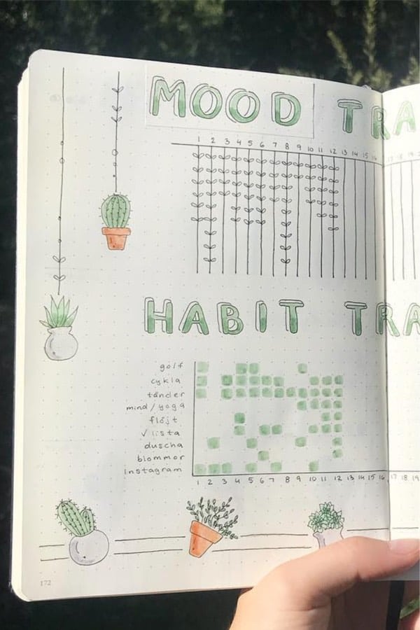 cactus mood spread for september