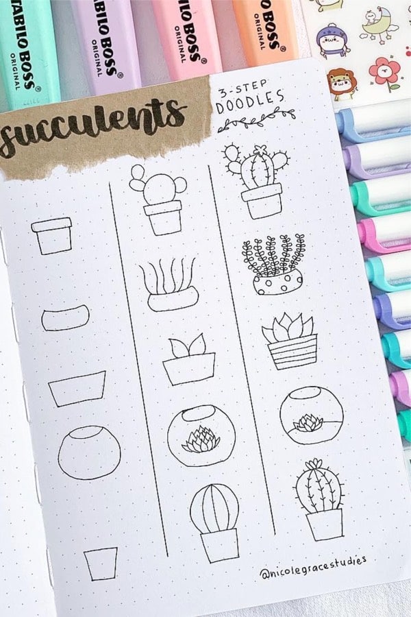 step by step succulent doodle for bullet journal