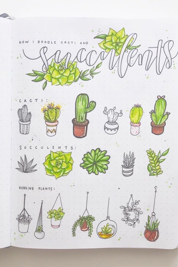 detailed succulent bujo doodle spread