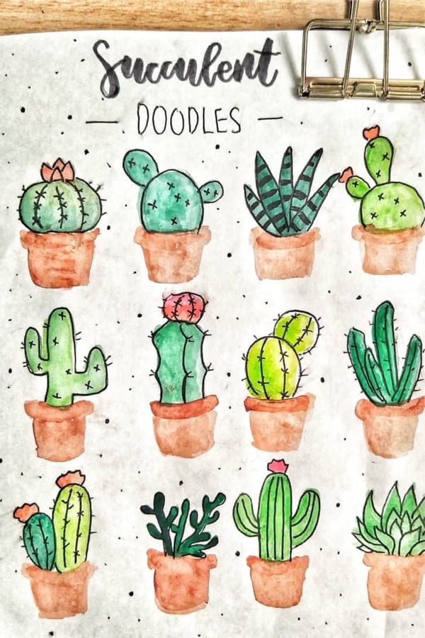 cute ideas for succulent bujo doodles