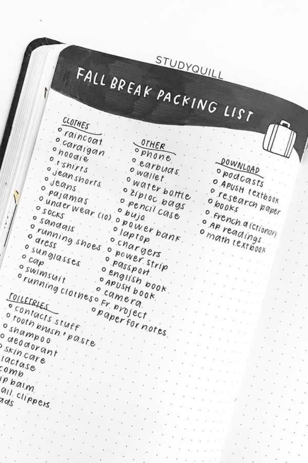 bujo packing list examples