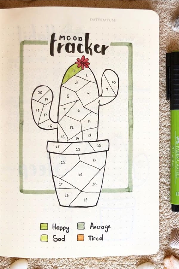 bujo tracker spread with cactus theme