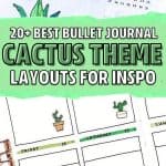 best ideas for cactus theme