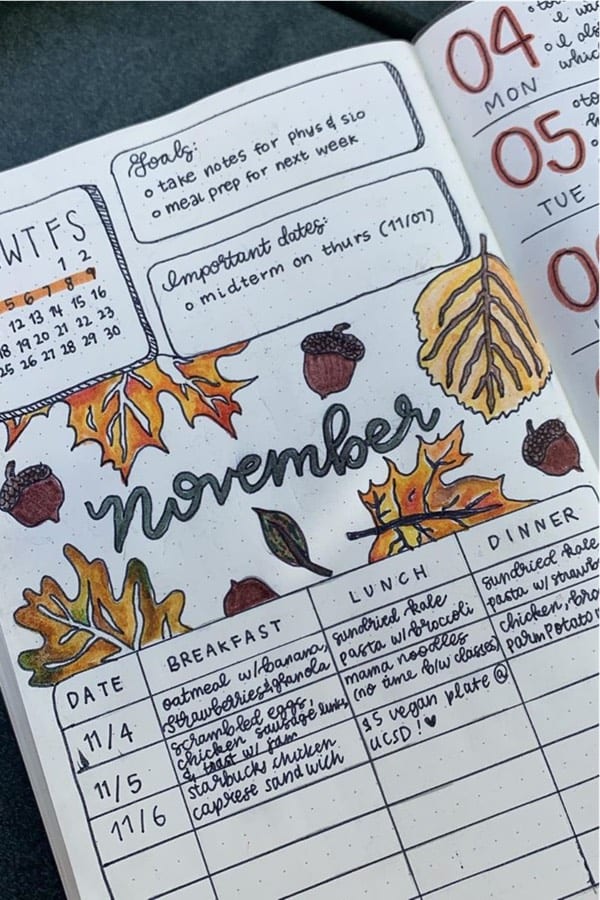 best weekly layout ideas for november