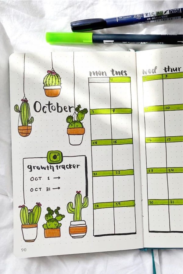 bullet journal monthly spread with cactus doodles