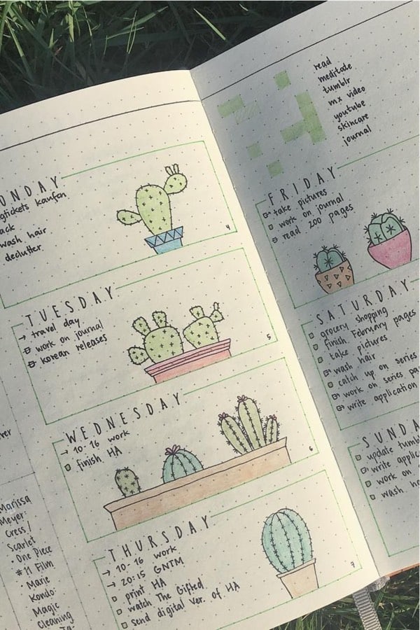bullet journal theme with cactus 
