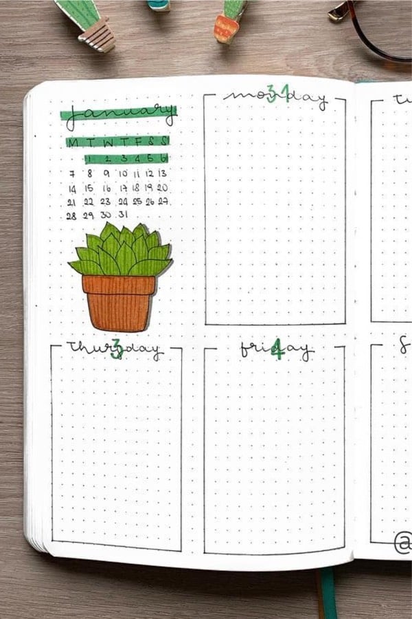 bullet journal layout ideas with succulent 