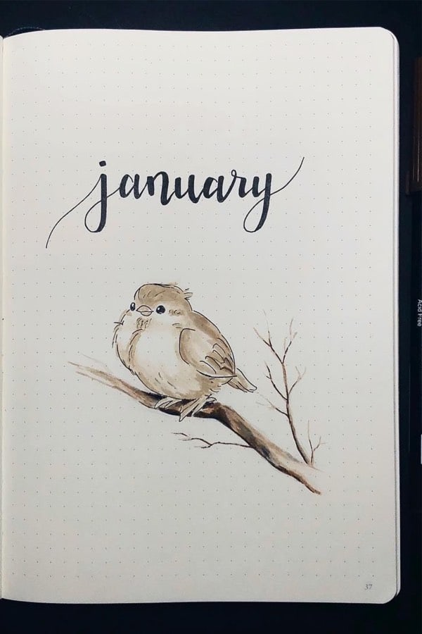 cute january cover with bird
