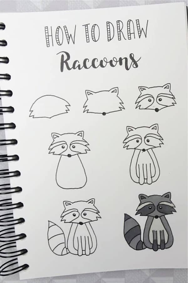 step by step raccoon doodle for bujo