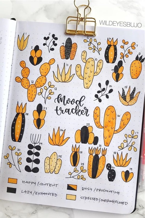 orange cactus bullet journal spread