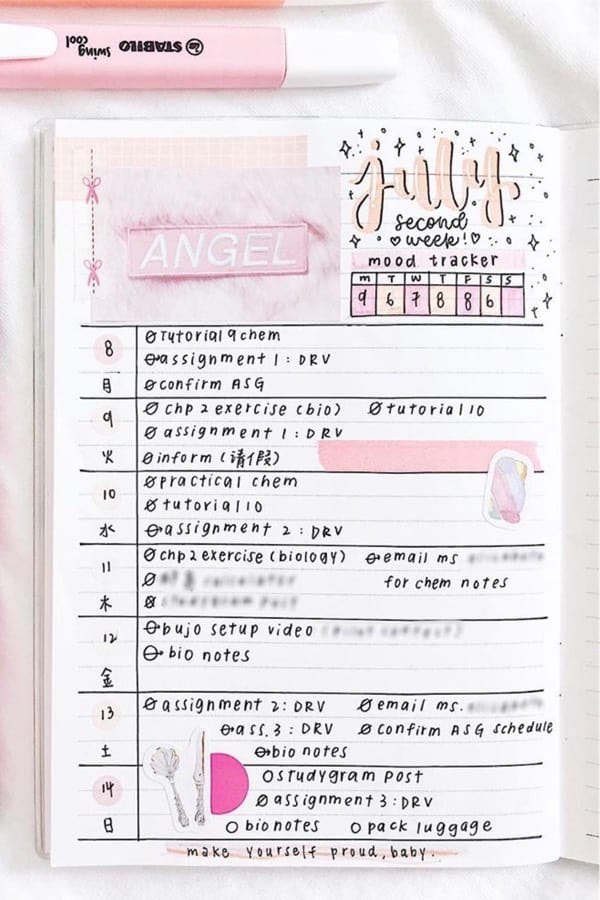 pink theme ideas for bullet journal