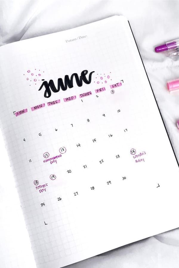 bullet journal cover spread in pink