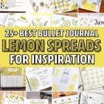 best bullet journal lemon layout examples