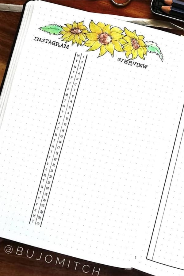 bullet journal tracker ideas with sunflowers