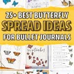 bujo spread ideas with butterfly theme