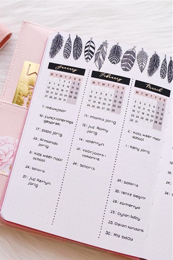 bullet journal future overview with pink theme